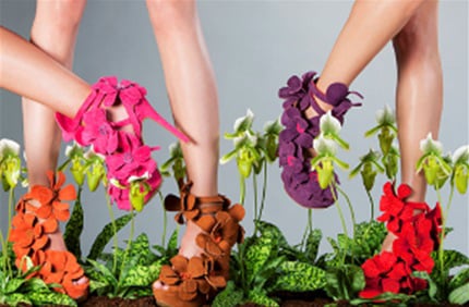 Orchid Shoe by Jan Jansen